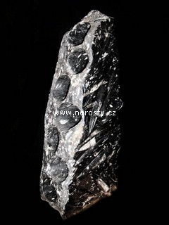 vinotéka na 7 lahví