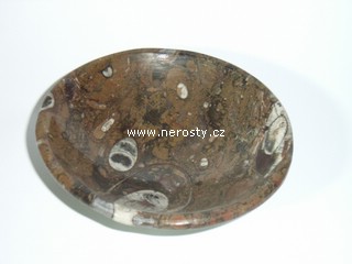 mramor s fosíliemi, ortoceras