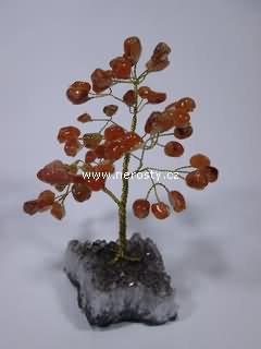 karneol, stromeček štěstí