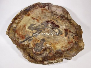 zkamenělé dřevo, řez