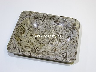 vápenec s fosíliemi, hranatý talířek