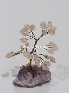 růženín, světlý