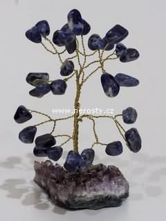 sodalit, stromeček štěstí