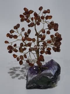 karneol, stromeček štěstí