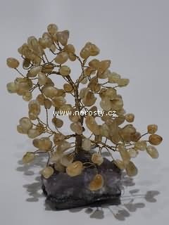 citrín, stromeček štěstí