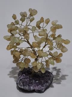 citrín, stromeček štěstí