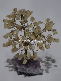 citrín, stromeček štěstí