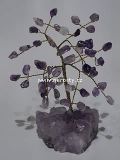 ametyst, stromeček štěstí