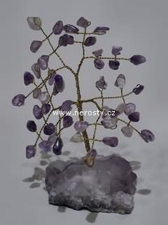 ametyst, stromeček štěstí