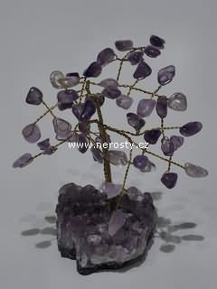 ametyst, stromeček štěstí