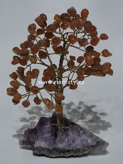 karneol, stromeček štěstí