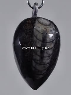 ortoceras, přívěšek