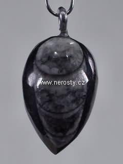 ortoceras, přívěšek