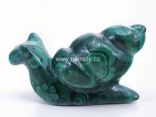 malachit, hlemýžď