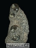 skulptura amonit, obrázek minerálu