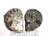amonit, obrázek minerálu