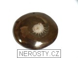 amonit, obrázek minerálu