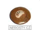 amonit, obrázek minerálu