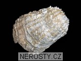 ústřice, obrázek minerálu