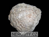 ústřice, obrázek minerálu