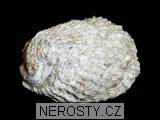 ústřice, obrázek minerálu
