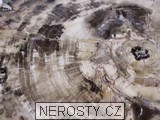 zkamenělé dřevo, řez
