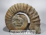 amonit, obrázek minerálu