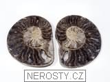 amonit, obrázek minerálu