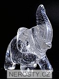 křišťál, slon