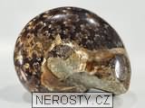 amonit, obrázek minerálu