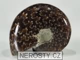amonit, obrázek minerálu