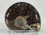 amonit, obrázek minerálu