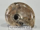 amonit, obrázek minerálu