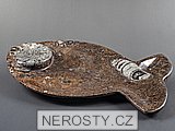 tácek ryba  s fosílií