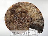 amonit, obrázek minerálu