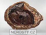 zkamenělé dřevo, obrázek minerálu
